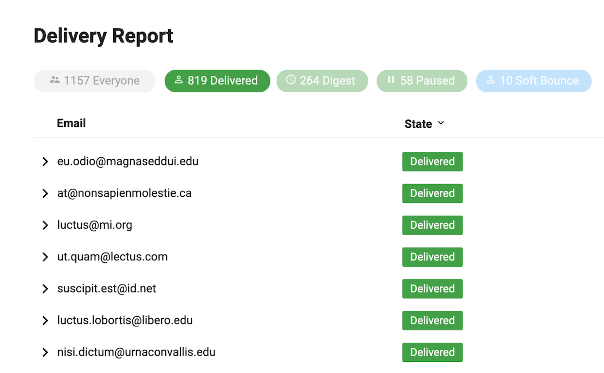 Group email delivery report